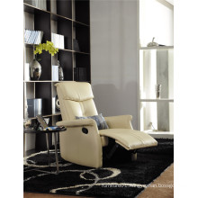 Living Room Sofa with Modern Genuine Leather Sofa Set (408)